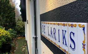 De Lariks